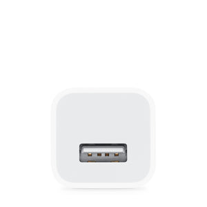 Apple Original 5w USB Wall Charger