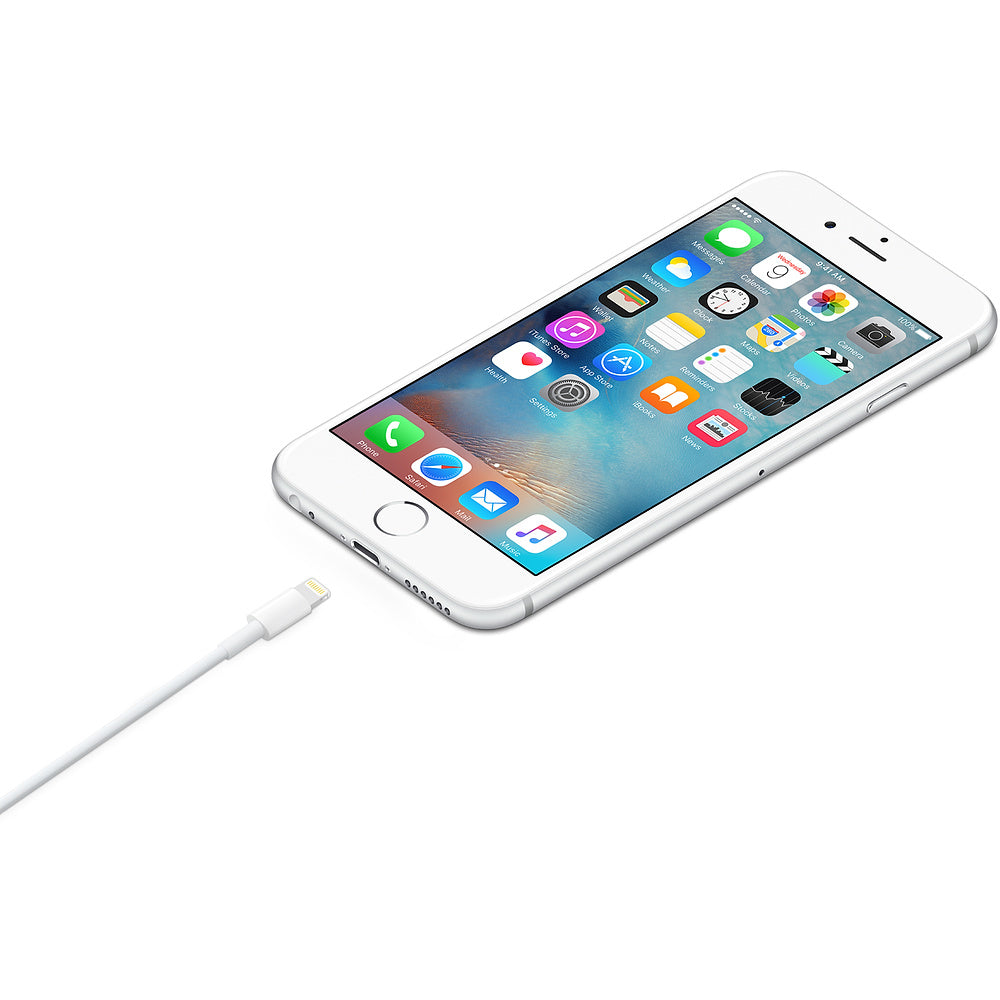 Apple Original Lightning Cable 3ft (1m)